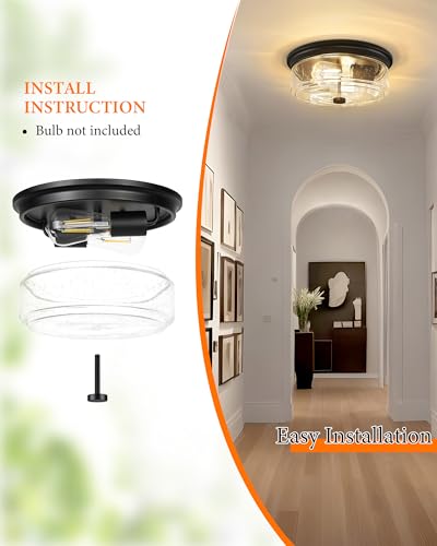 Flush Mount Ceiling Light Fixture (Matte Black)