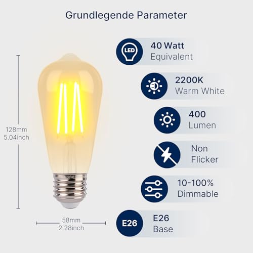 ST19 LED Edison Bulbs 40W Equivalent (6 Count)