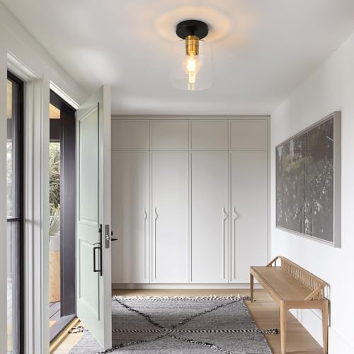 Black Brass Semi Flush Mount Ceiling Light (2 Count)