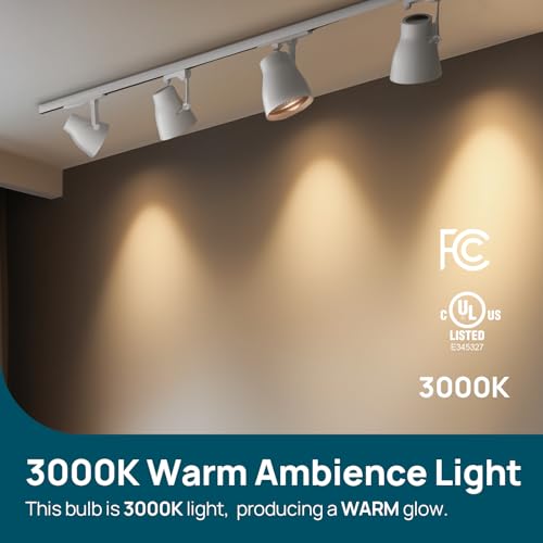12 Pack BR30 LED Flood Light Bulbs Indoor (12 Count)