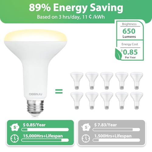 12 Pack BR30 LED Recessed Light Bulb (12 Count)