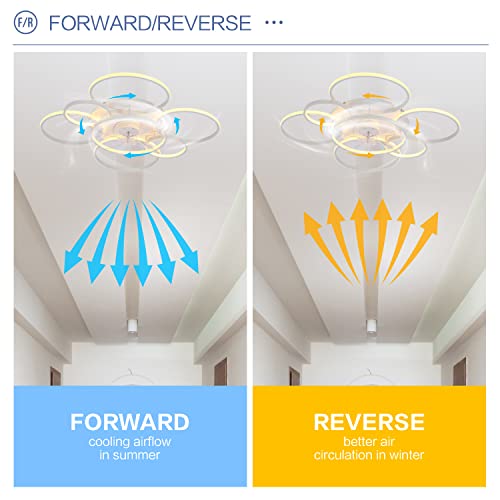 41" Ceiling Fans with Lights