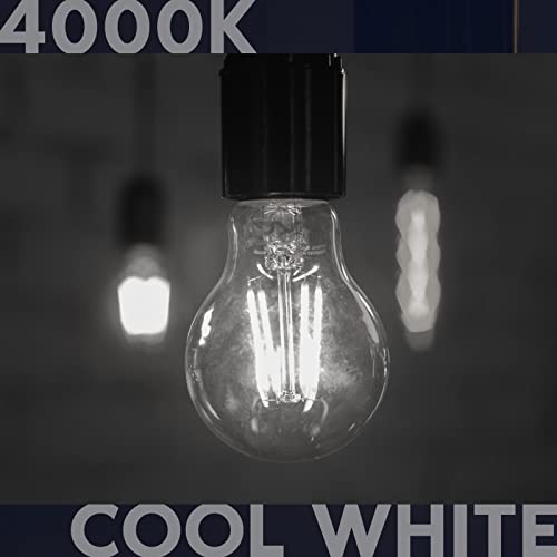 Vintage A19 LED Light Bulbs 100W Equivalent (2 Count)