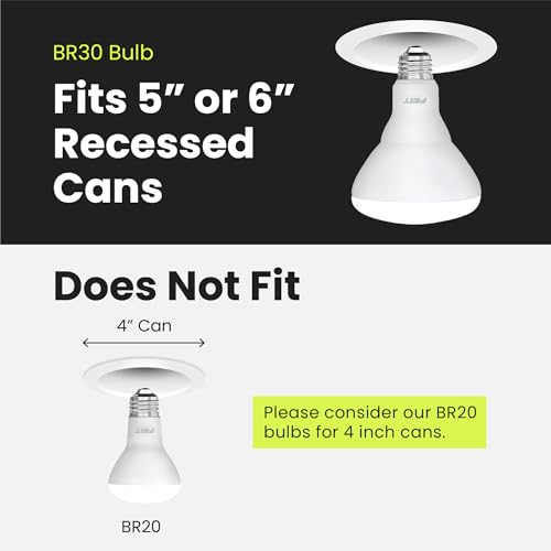 BR30 LED Light Bulbs (12 Count)