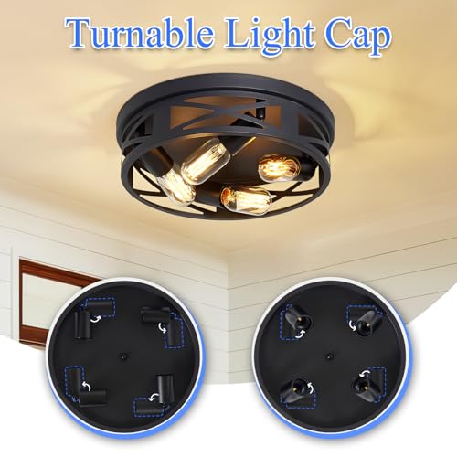 Flush Mount Ceiling Light Fixture