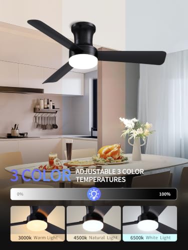 42 Inch Black Low Profile Ceiling Fan with Light and Remote (Black-3 / 42 Inch)