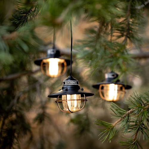 Edison Pendant String Lights