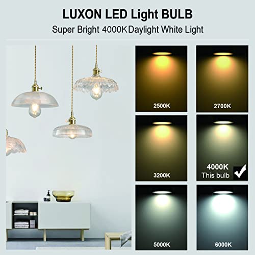 LED Edison Bulbs