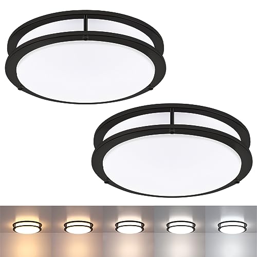 2 Pack Black Ceiling Light (2 Count)