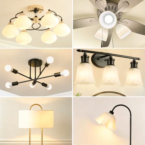 A19 LED Light Bulbs (24 Count)
