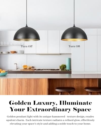 16 inch Black and Gold Pendant Light 2 Pack (2 Count)