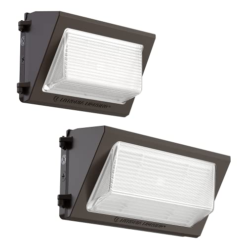 17" LED Wall Pack Outdoor Light