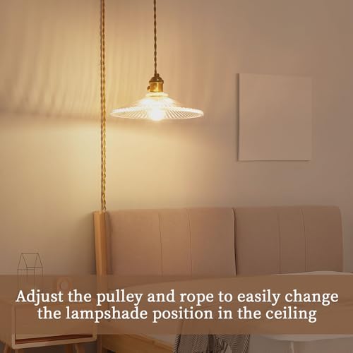 Hanging Lights with Plug in Cord