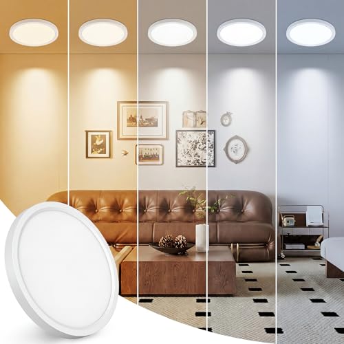 7 inch LED Ceiling Light
