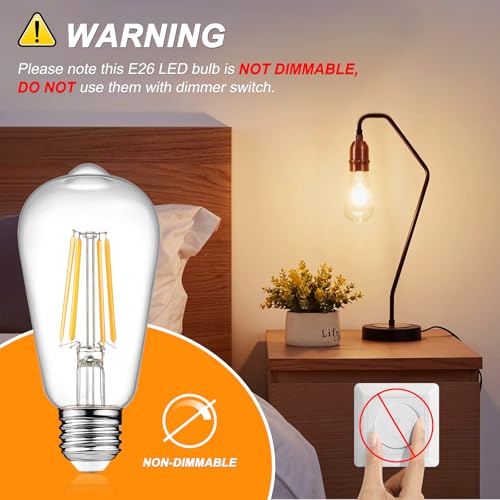 12 Pack Vintage LED Edison Light Bulb 60W Equivalent (12 Count)