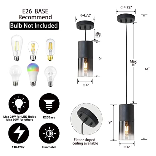 Black Pendant Light Fixtures