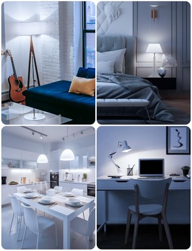 LED Light Bulbs (12 Count)