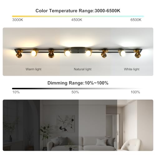 65 Inch Modern Dimmable LED Track Lighting with Remote