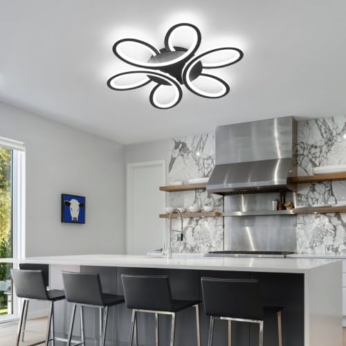 Modern LED Ceiling Light