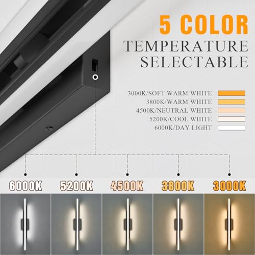 Black Vanity Light