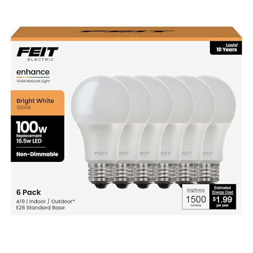 A19 100W Equivalent LED Light Bulbs (6 Count)