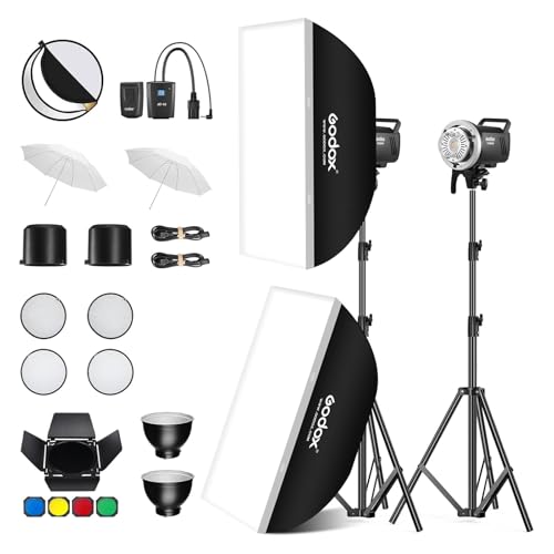 MS300V 2 Pack Professional Studio Strobe Flash Light 300W Studio Flash Strobe kit 300W GN58 0.1 (2 Count)