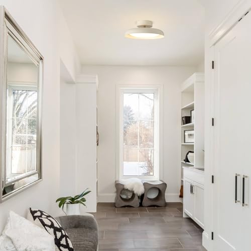 Modern LED Ceiling Light