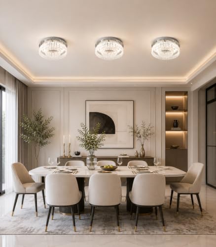 Chrome LED Ceiling Light