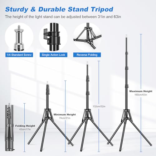Softbox Lighting Kit