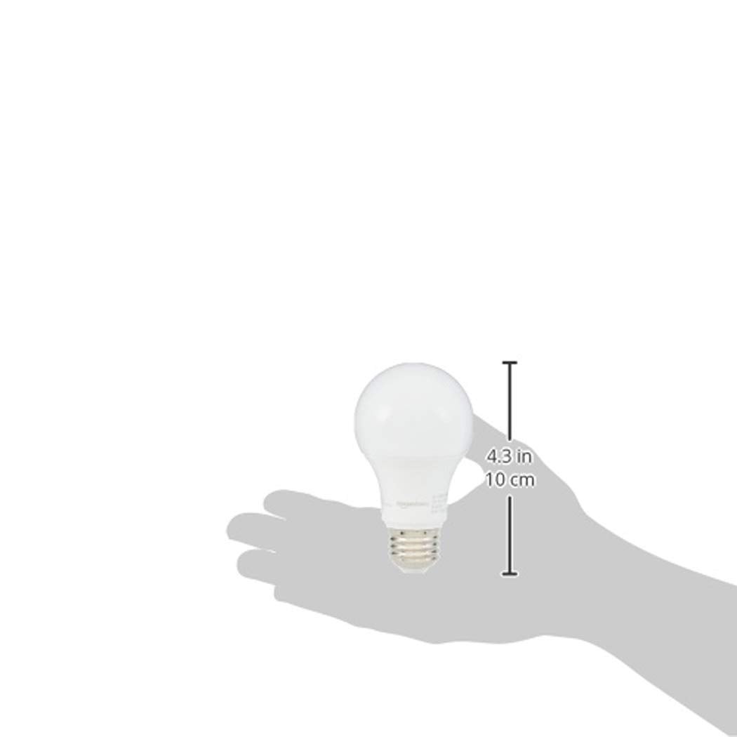 A19 LED Light Bulbs (6 Count)