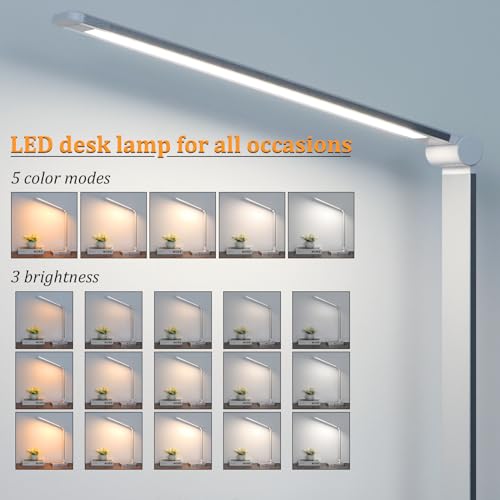 LED Desk Lamp with USB Ports