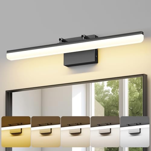 Black Vanity Light 24"