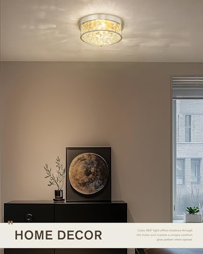 Brushed Nickel Flush Mount Light
