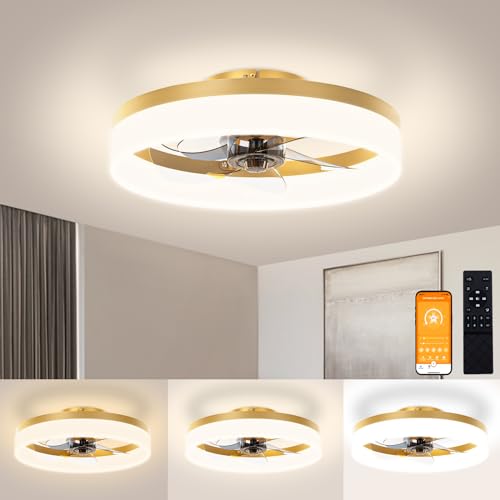 Low Profile Ceiling Fans with Lights and Remote