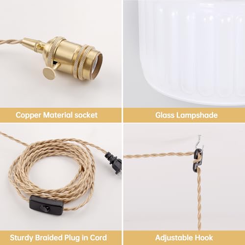 Plug in Pendant Light Hanging Light Fixtures with Plugin Cord On