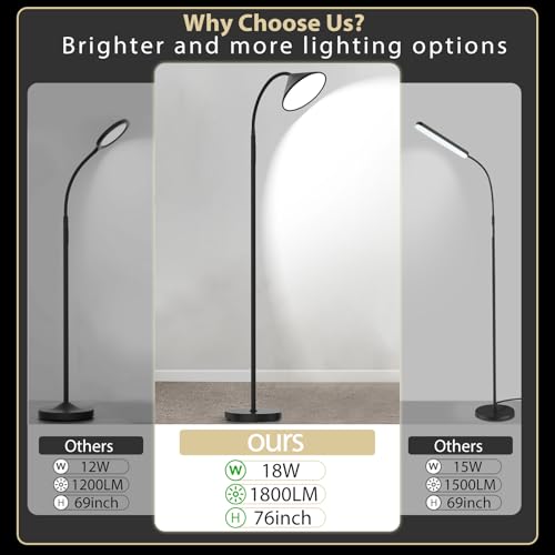 76" LED Floor Lamp (Black-76inch)
