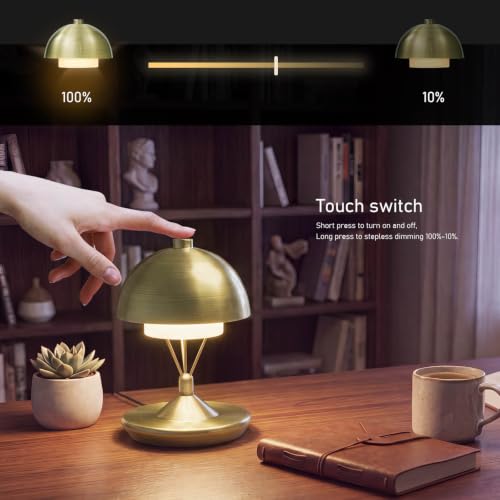 Cordless Modern Table Lamp