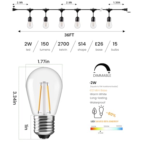 36 FT Outdoor String Lights 2W LED Antique Edison Waterproof ETL (36 Foot)