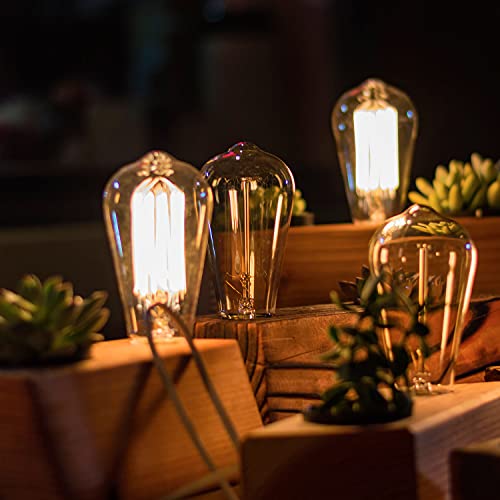 Dimmable Vintage E26 LED Light Bulb (10 Count)