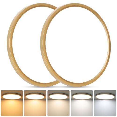 12 Inch LED Flush Mount Ceiling Light Fixture (2 Count)