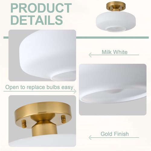 Modern Ceiling Light