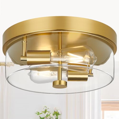 Flush Mount Ceiling Light Fixtures