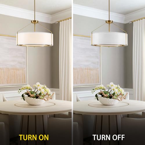 20Inch Drum Chandeliers