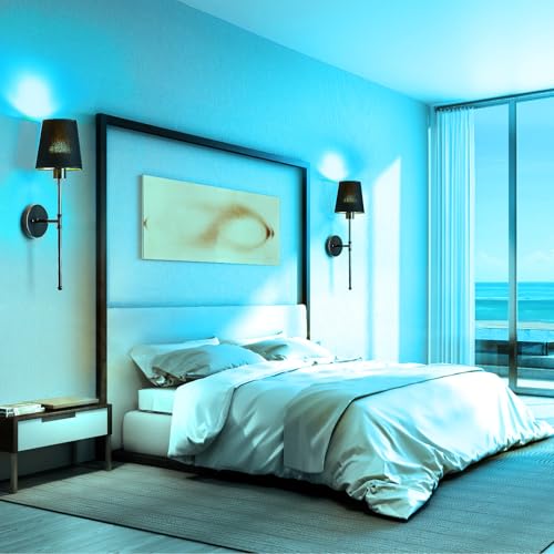 Battery Operated Wall Sconce