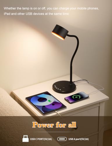 Desk lamp with 2 USB Charging Ports