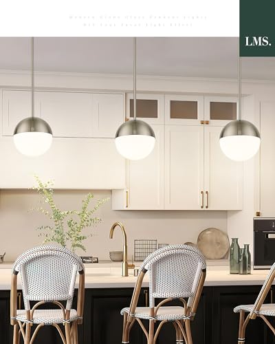 2 Pack Modern Pendant Lights (2 Count)