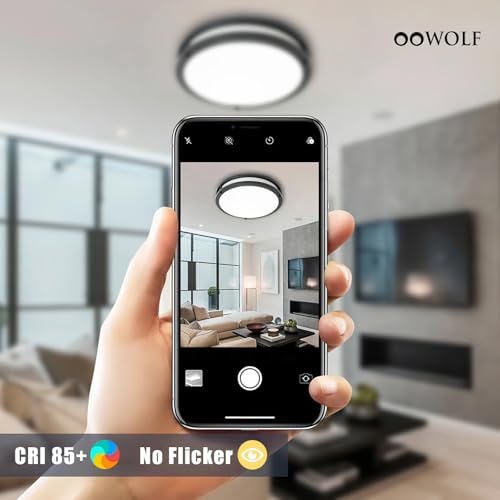 12inch LED Flush Mount Ceiling Light Fixture Dimmable Matte Black (2 Count)