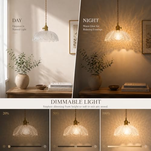 Hanging Lamp Plug in