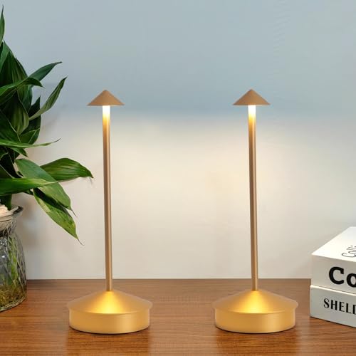 2 Pack Aluminum Cordless Table Lamp (2 Count)
