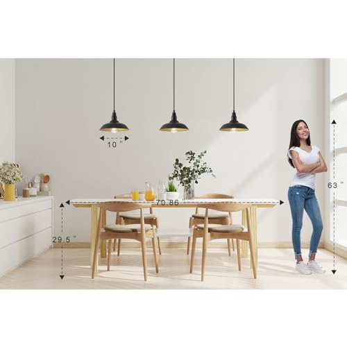 Farmhouse Pendant Lights with 10 Inch Dome
